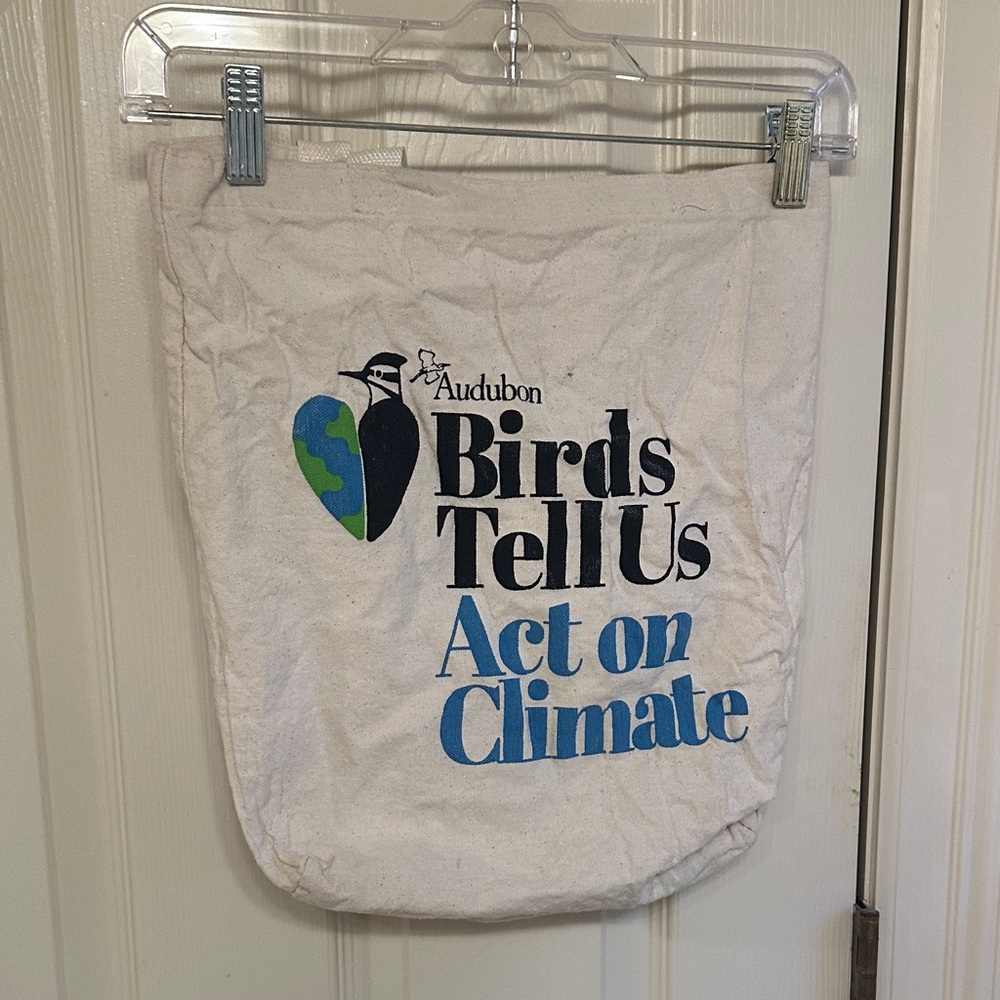 Climate Action Tote Bag - White and Blue - 12x14”